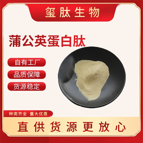 �ѹ�Ӣ������